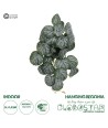 GloboStar® Artificial Garden BEGONIA 20611 Τεχνητό Κρεμαστό Διακοσμητικό Φυτό Βιγόνια Μ30 x Π15 x Y45cm